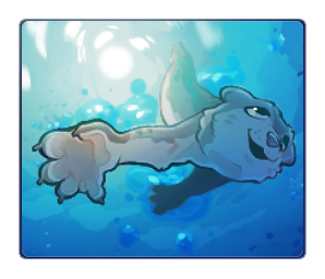 🌊 In The Splash Zone